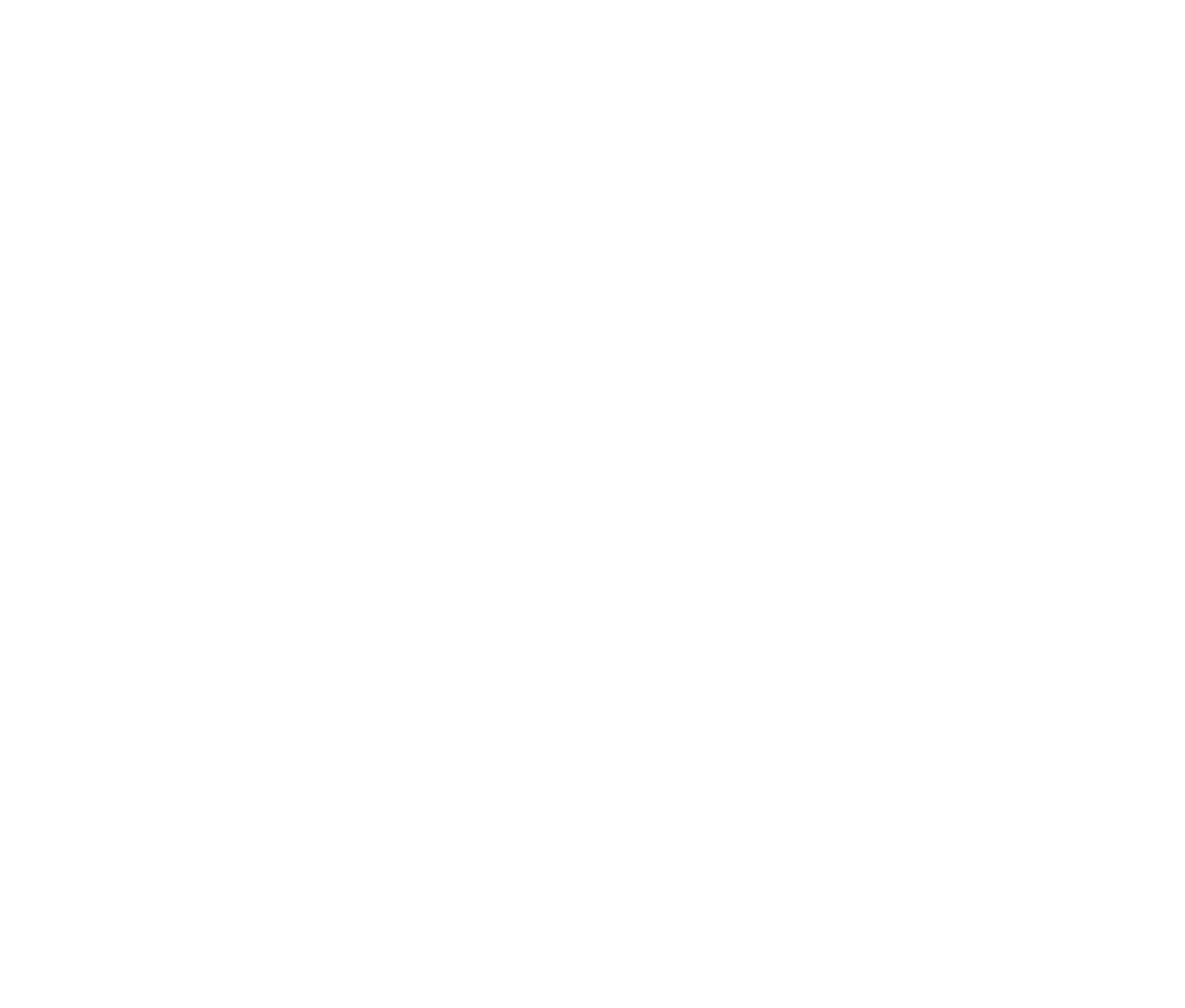 Portland Trail Blazers